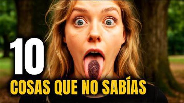 10 cosas que no sab&iacute;as de Jean Claude Van Damme Virolico