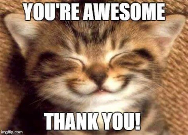 101 Funny Thank You Memes to Say Thanks for a Job Well Done
