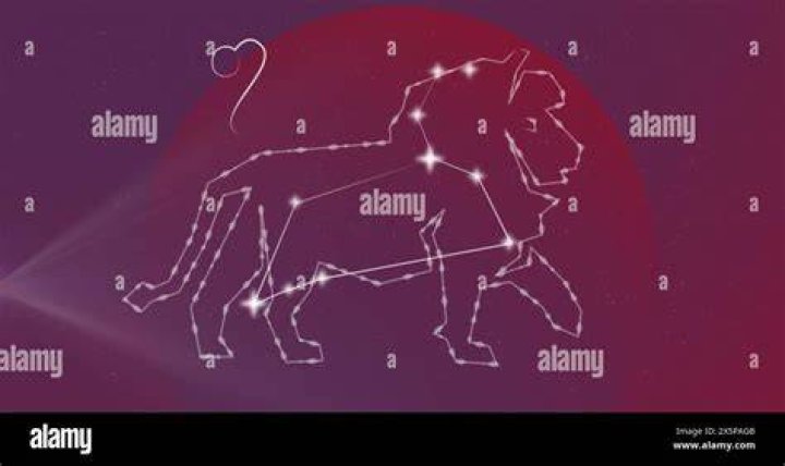 ʕ &bull;́؈&bull;̀ ₎&hearts; Star sign November 22December 21 TEDDY BEAR Teddy