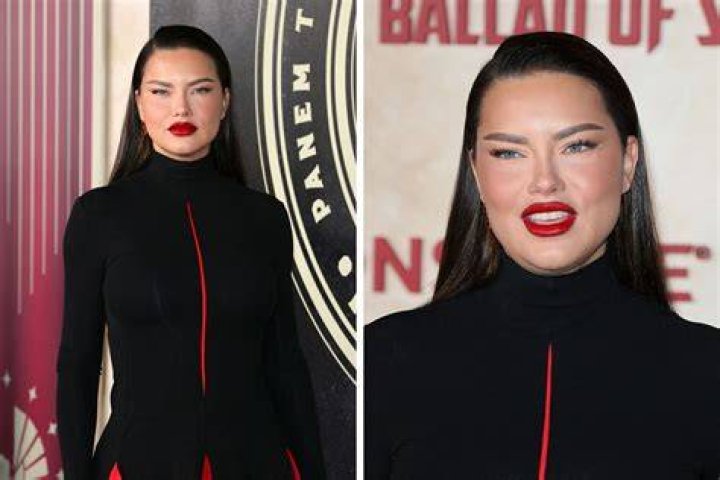 Adriana Lima wasn't alone on Valentine's Day