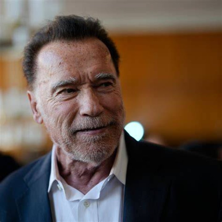 Arnold Schwarzenegger Provides a Sombre Update on the Twins Sequel