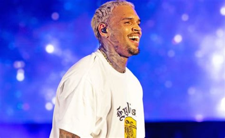 Chris Brown Net Worth Plenty Of Cheddar