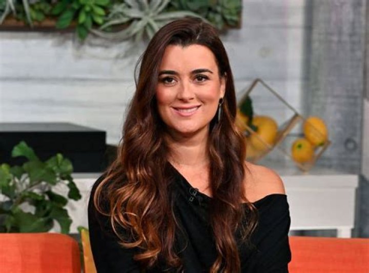Cote de Pablo Biography, Age, Wiki, Height, Weight, Boyfriend, Family
