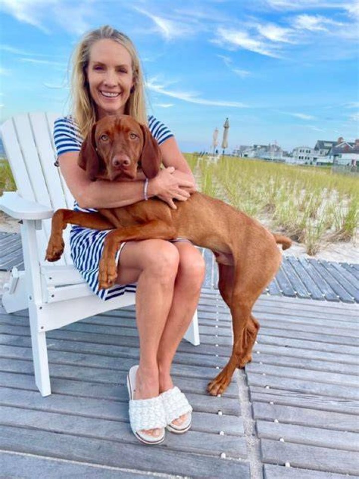 Dana Perino Bikini Photos Archives Inspirationfeed The Best Porn Website