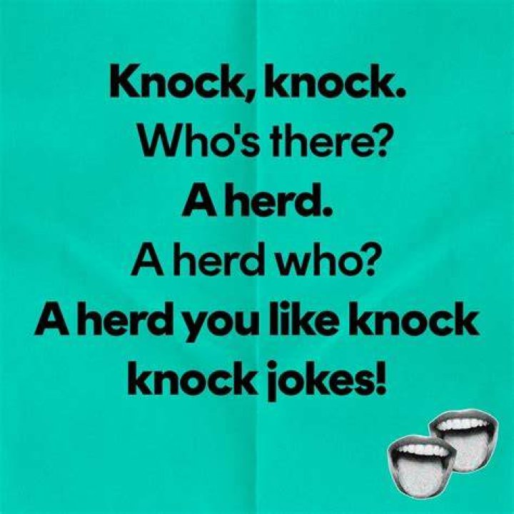 Funny Knock Knock Jokes to Read Rains Hatut1969