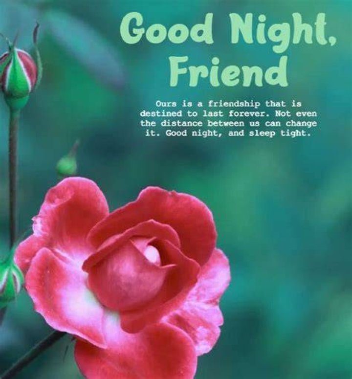 Good Night Wishes For Friend Wishes, Greetings, Pictures Wish Guy