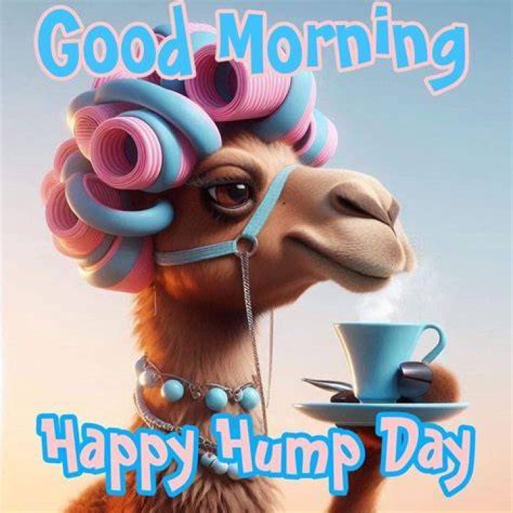 Happy Hump Day Pictures, Photos, and Images for Facebook, Tumblr