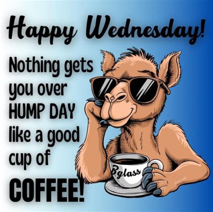 Hump Day Quotes, Wednesday Morning Quotes, Wednesday Humor, Wednesday