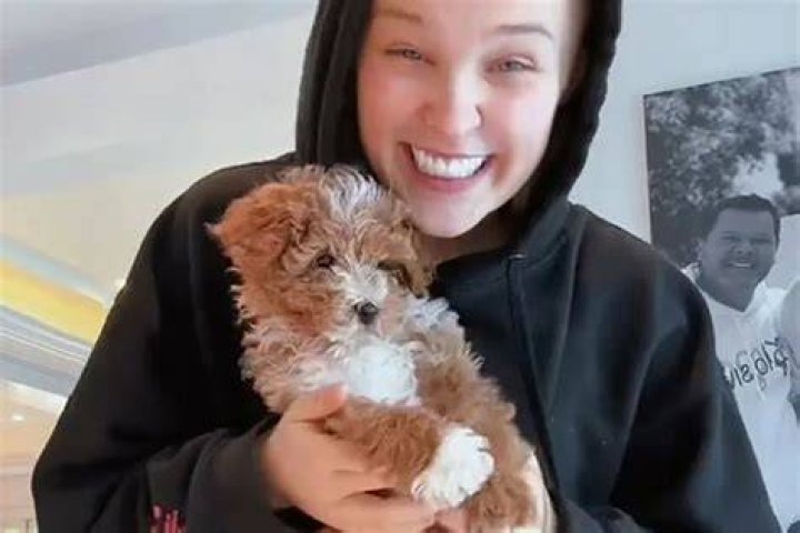 JoJo Siwa Announces Her Puppy Died from an 'Accident' 'My Heart Hurts'