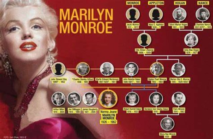 Marilyn Monroe Family Tree r/UsefulCharts