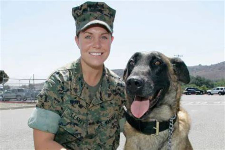 Megan Leavey Married Matt Morales Relationship