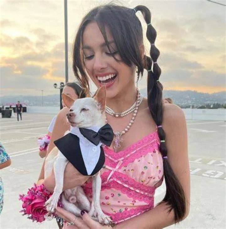 Olivia Rodrigo Pets Celebrity Pets