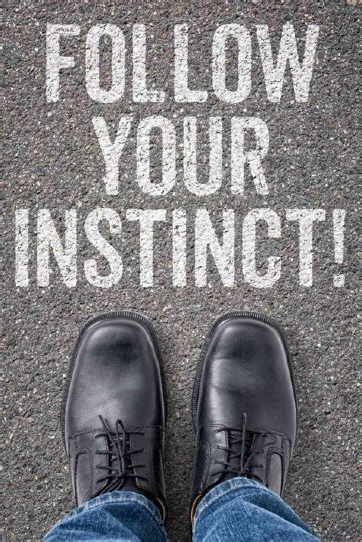 Pin on Instincts...