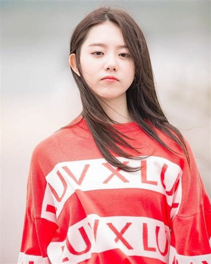 Profil, Biodata, dan Fakta Kim Ji Won Indofankor