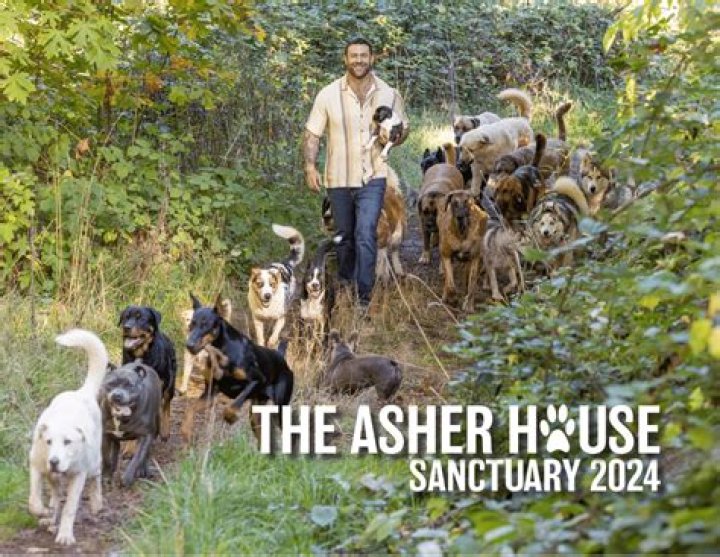 The Asher House, Led by Lee Asher, Rescues Dogs Across the Country