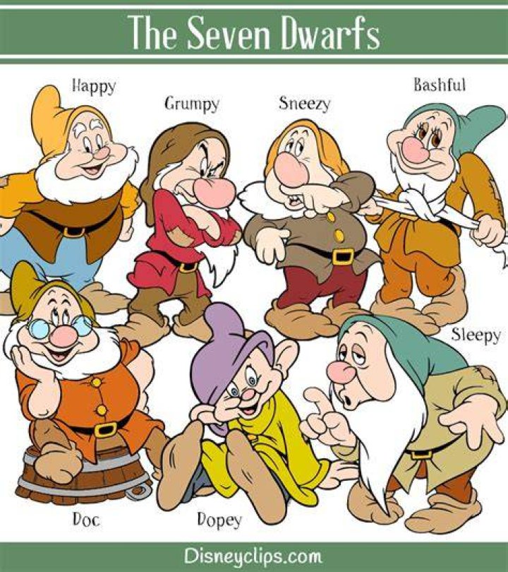 The Seven Dwarfs Disney Photo (270983) Fanpop