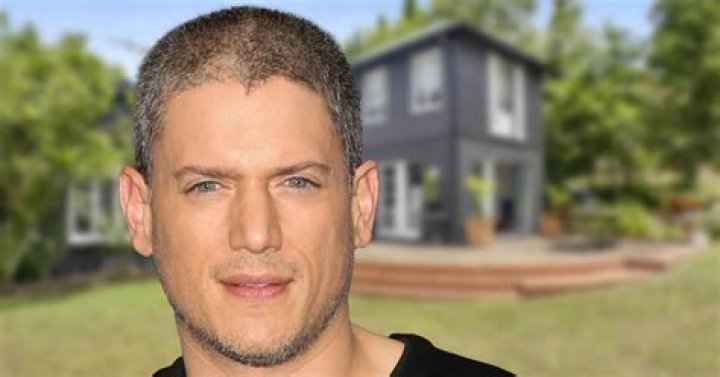 Wentworth Miller's Impressive Fortune: Unveiling His Net Worth