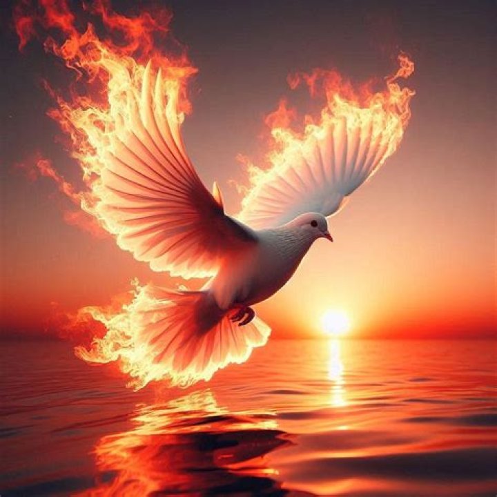 What is a free spirit Definition and common characteristics Legit.ng